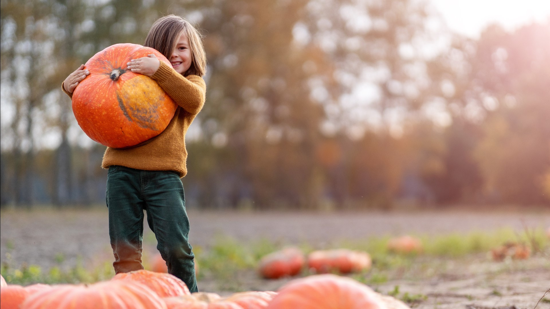 Happy November! 9+ things to do across the DMV this weekend | wusa9.com
