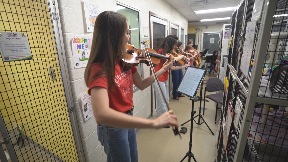 Teen's ‘Wild Tunes’ program brings live music to shelter animals