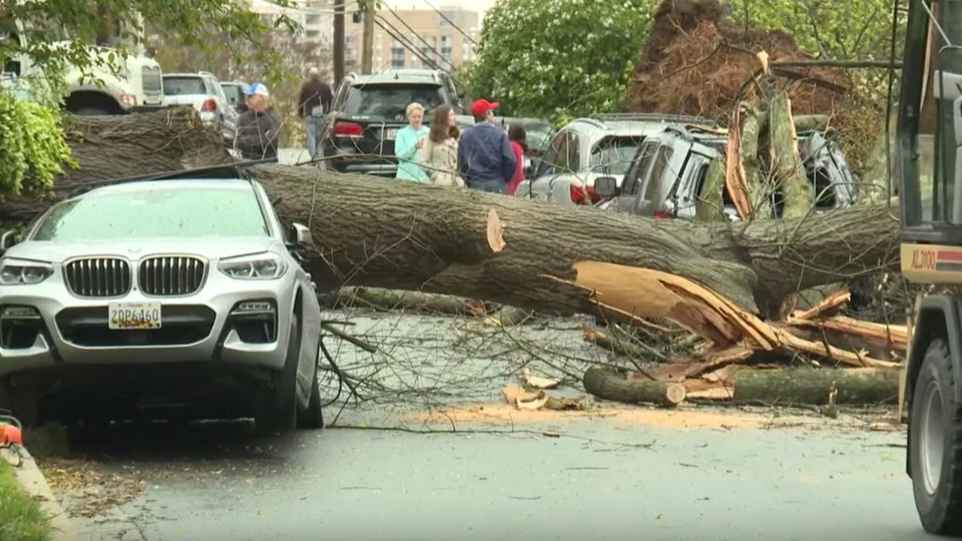 A tree took out a few cars right in Bethesda off of Massachusetts Avenue.
