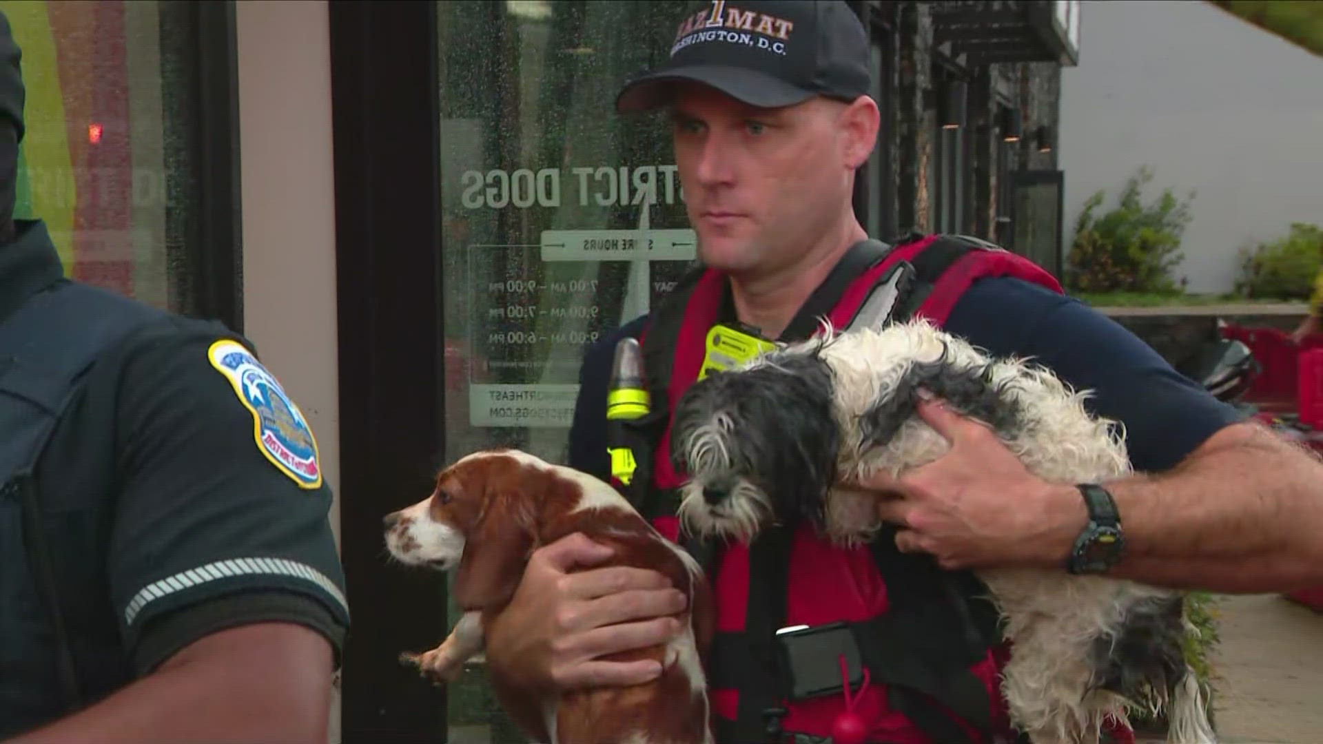 District officials have launched an investigation into a recent flooding event that killed 10 dogs inside a canine care center on Rhode Island Avenue Northeast.