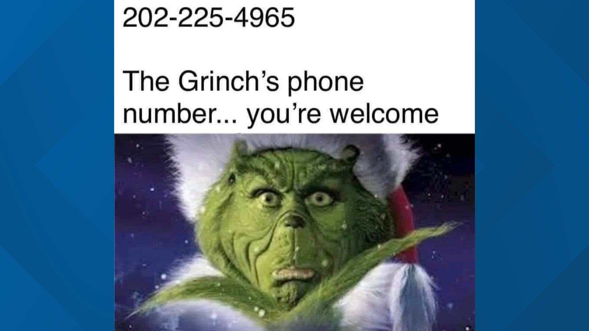 Lee's Flower Shop getting calls for "The Grinch"