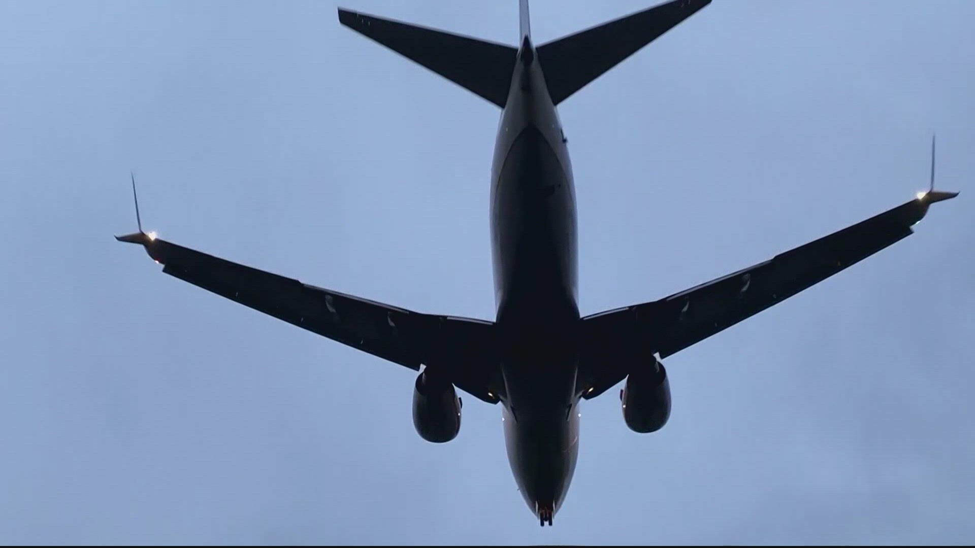 Travel Planning National Cheap Flight Day: Score Unbeatable Deals