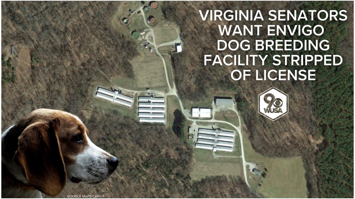 Virginia dog breeding facility raided, 145 dogs confiscated – World news