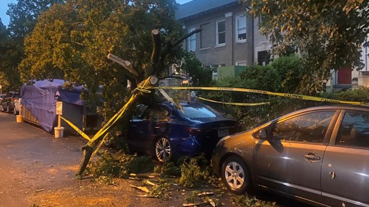 DC weather downs trees, damages cars