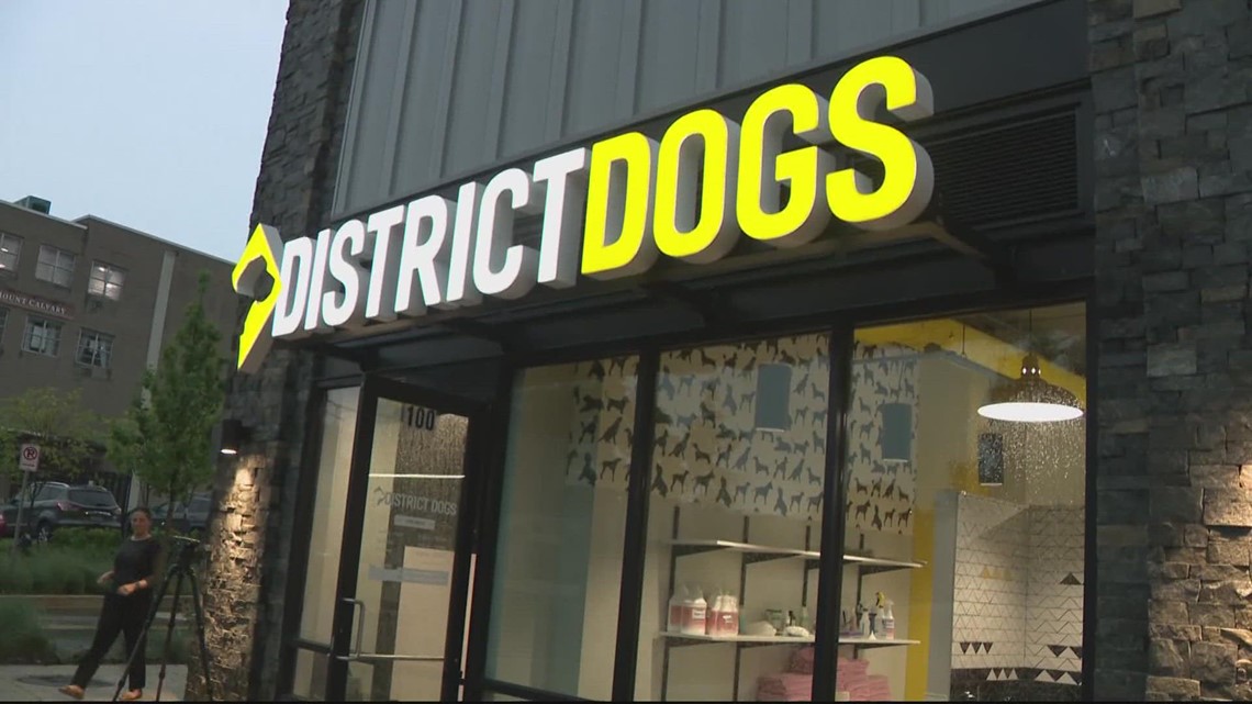 Northeast DC dog daycare frustrated by flooding issues