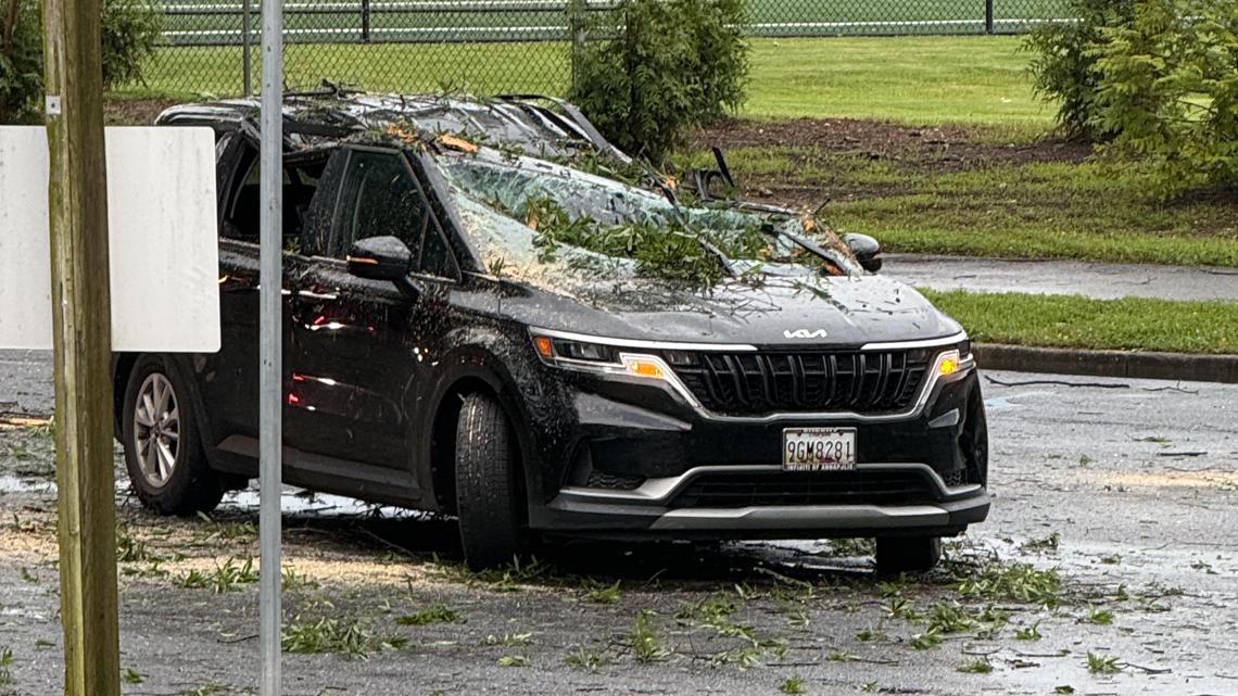 Teen helps rescue family trapped by fallen tree in storm | wusa9.com