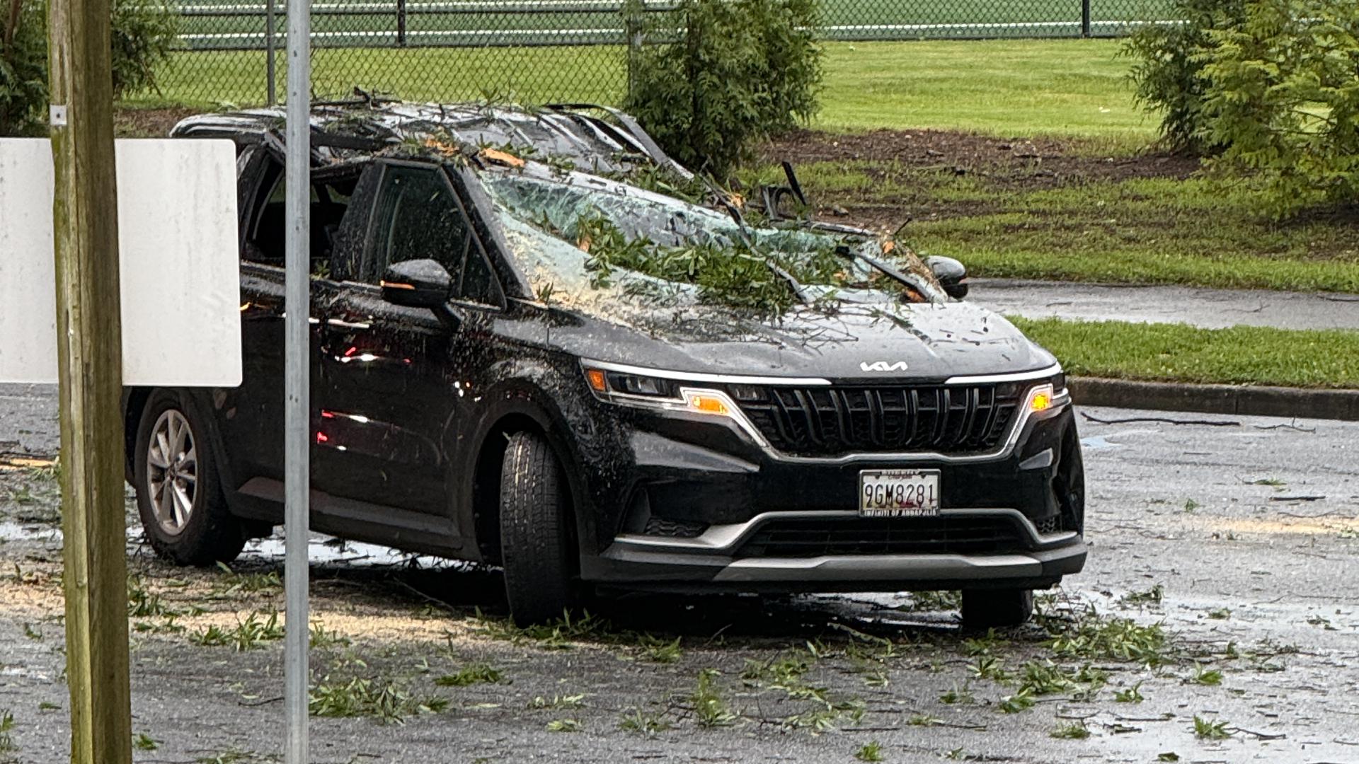 Teen helps rescue family trapped by fallen tree in storm | wusa9.com