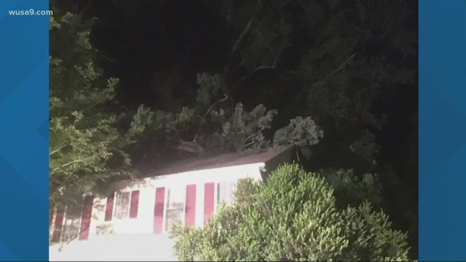 An 11-year-old escaped injury early Monday when a neighbor's tree uprooted and fell in 15 mph winds, puncturing the roof of the second-floor bedroom where the preteen was sleeping.