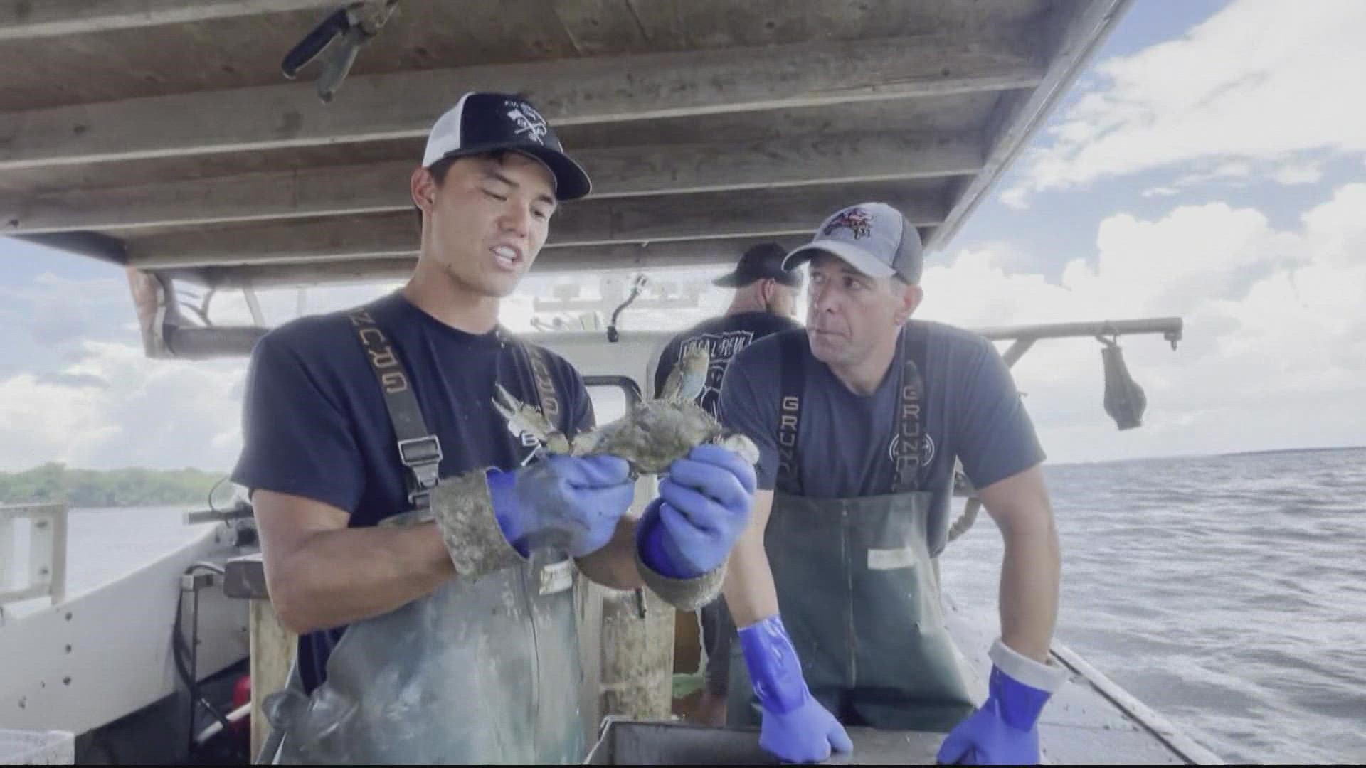 Adam Longo is getting nautical and found proof that Maryland crabs have global appeal