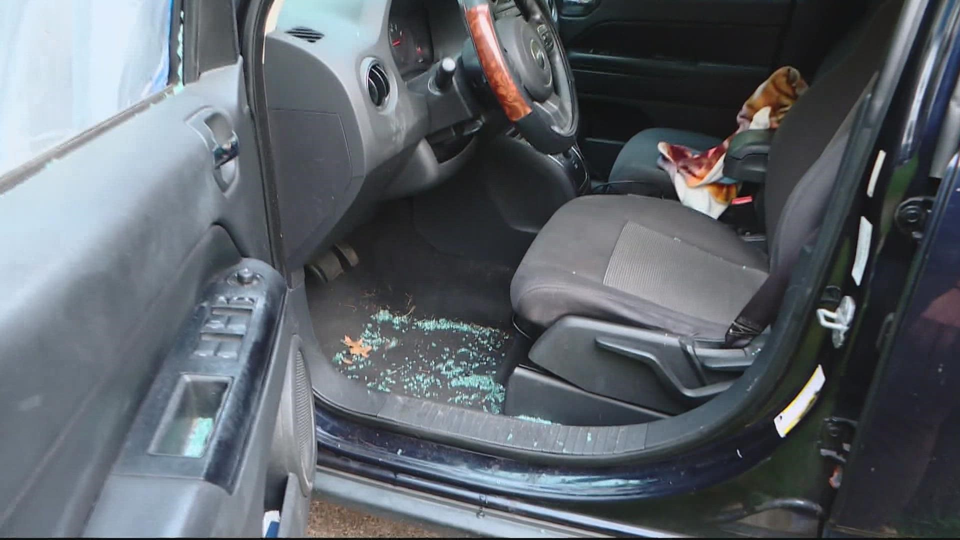 Police say someone smashed the windows of more than 20-cars -- in ONE night. Now they're looking for the vandal.