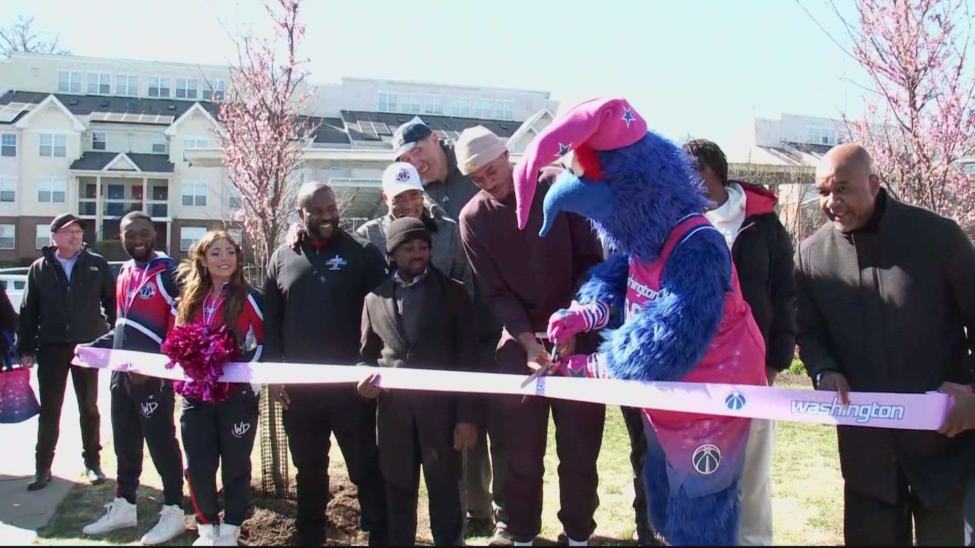 Twenty-five trees, including cherry trees, were planted around the District to celebrate the Washington Wizards rebranding.