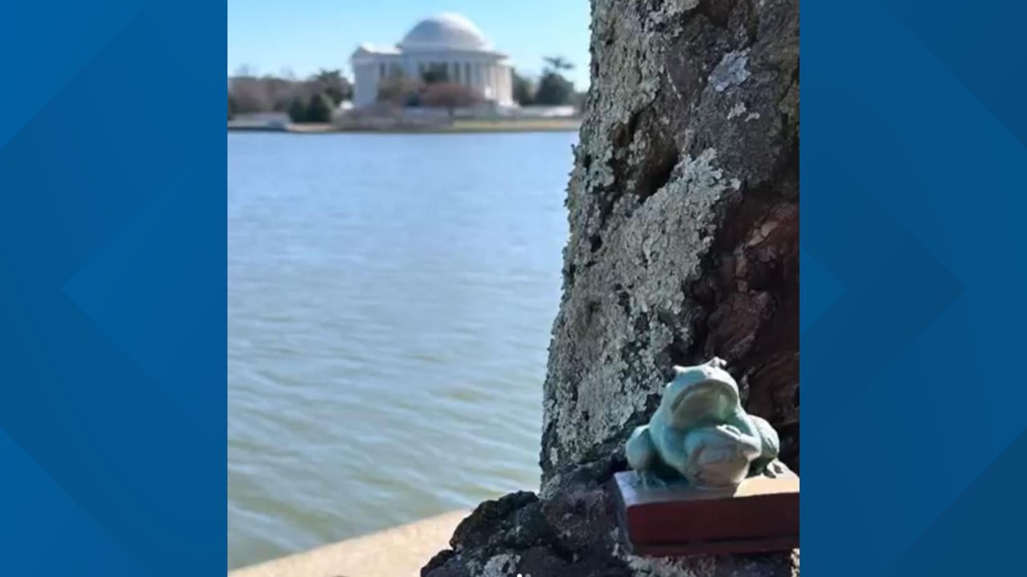 Here's why you may see frog sculptures around DC