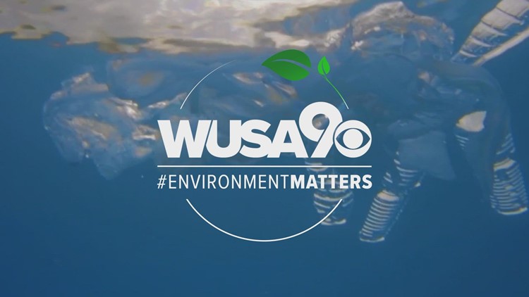 WUSA9 #EnvironmentMatters Clean-Up Day is May 21 - Come join us!
