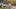 'It was disgusting. It was heartbreaking' | Loudoun County community calls for unity after historic African American cemetery vandalized