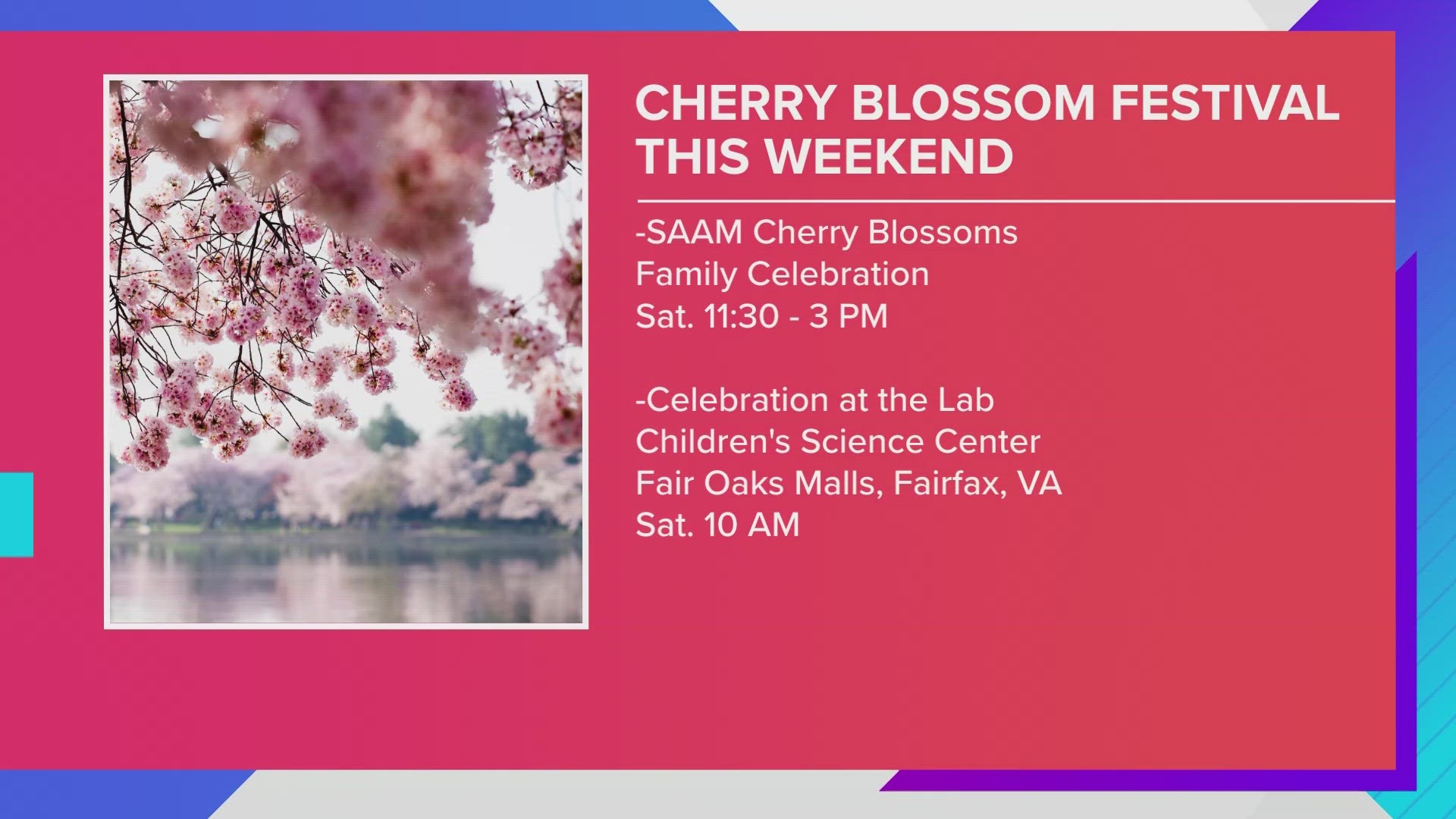 Weather may impact peak bloom, but there are still plenty of ways to celebrate this weekend.