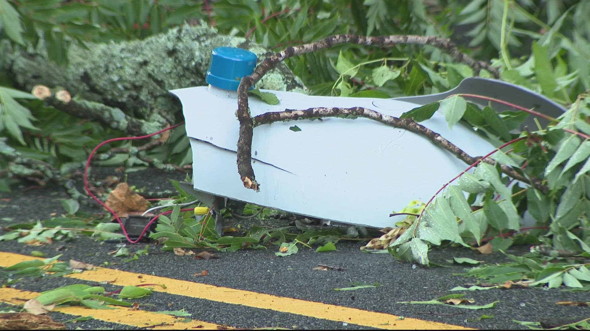 Severe storms made their way across the DMV Saturday, causing a lot of damage.