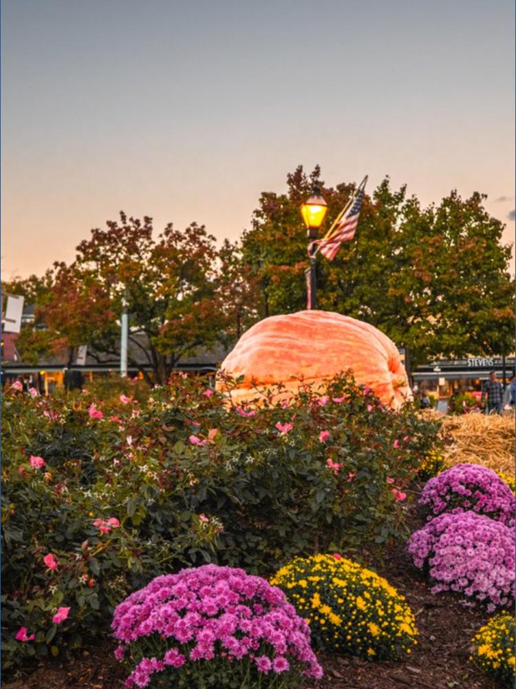 Giant pumpkins return to Annapolis for October 2025 just in time for ...