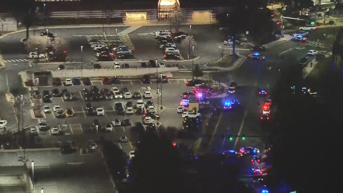 Tysons Corner Mall shooting: Cops hunt suspect after multiple shots fired  at shopping center forcing customers to flee
