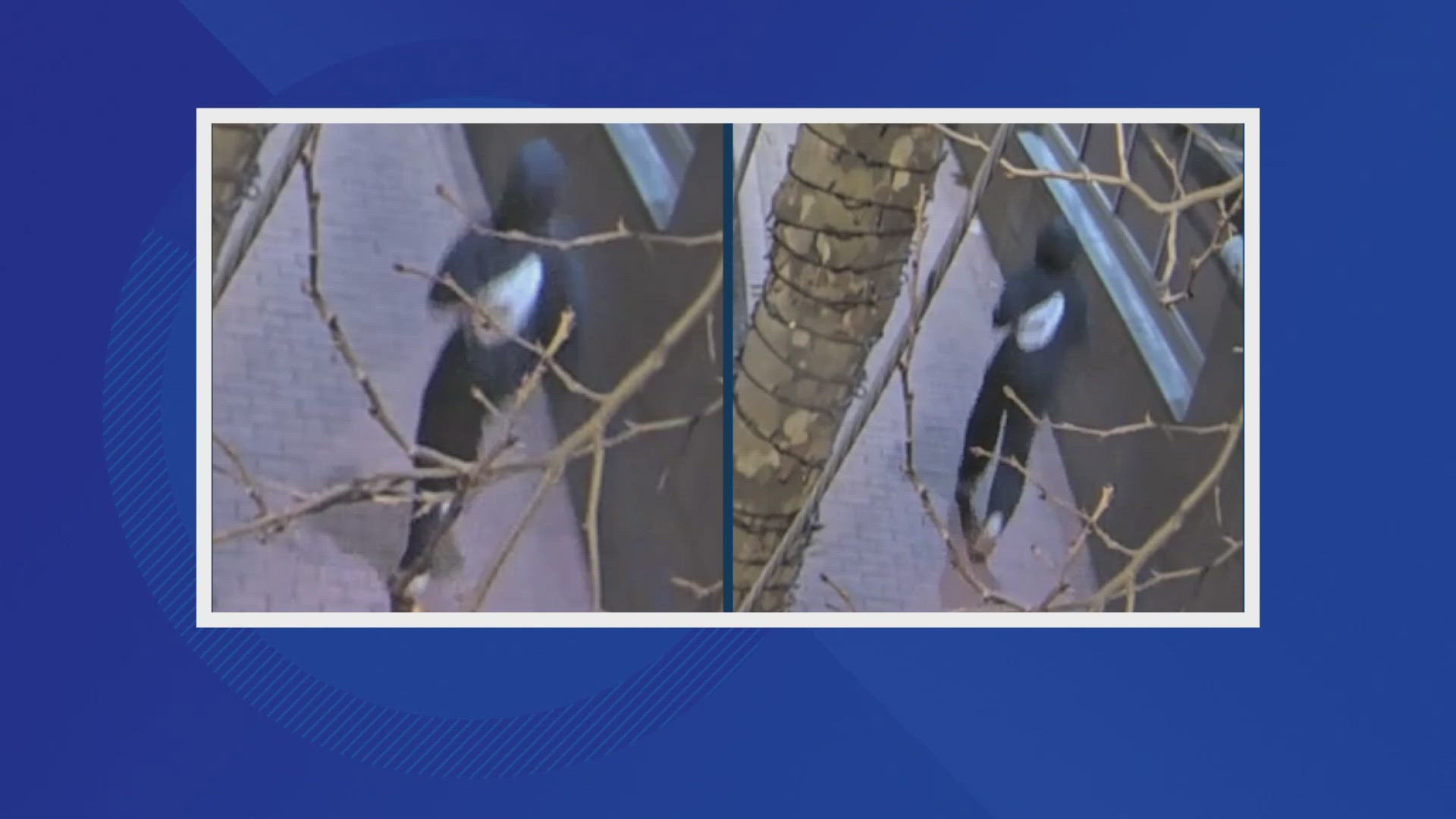 Police say there may be more incidents and victims who have not reported what happened to police. 