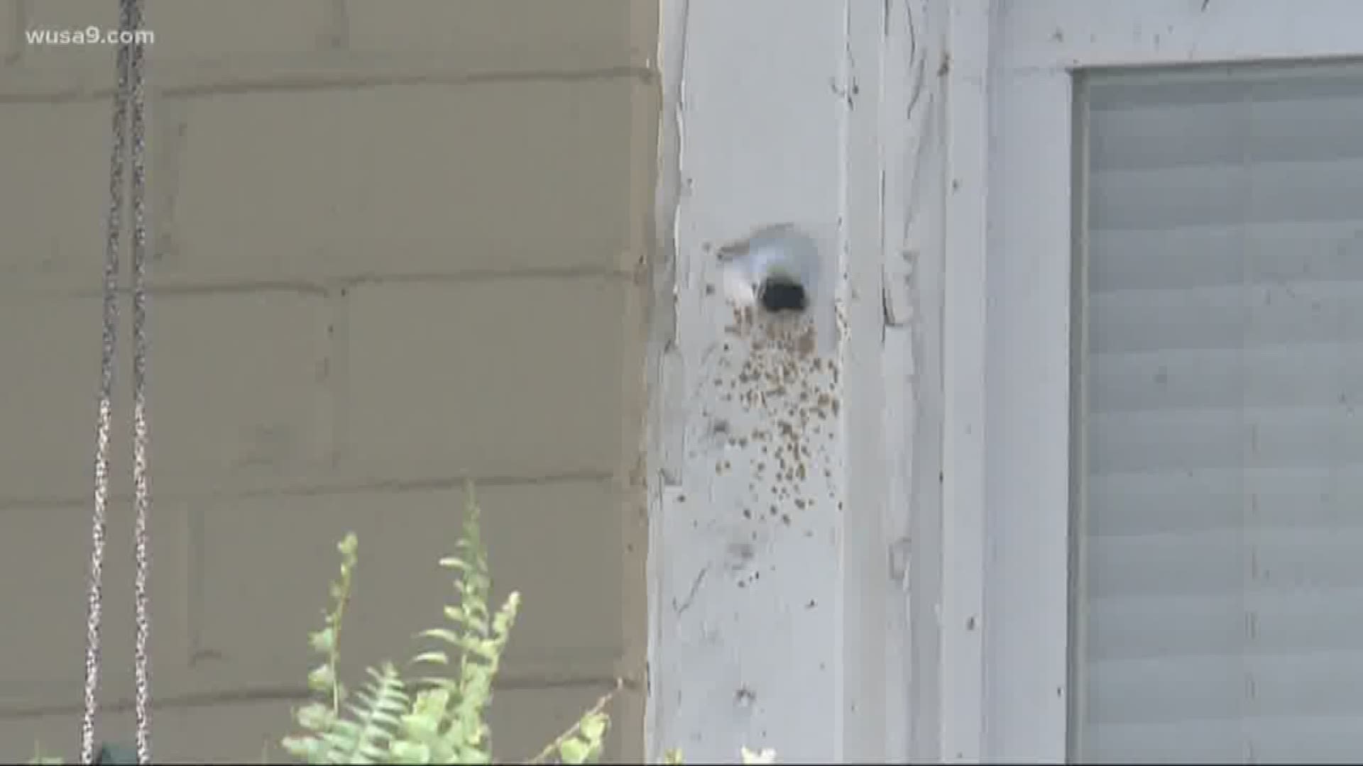 One woman was grazed by a stray bullet while she sitting inside of her home.