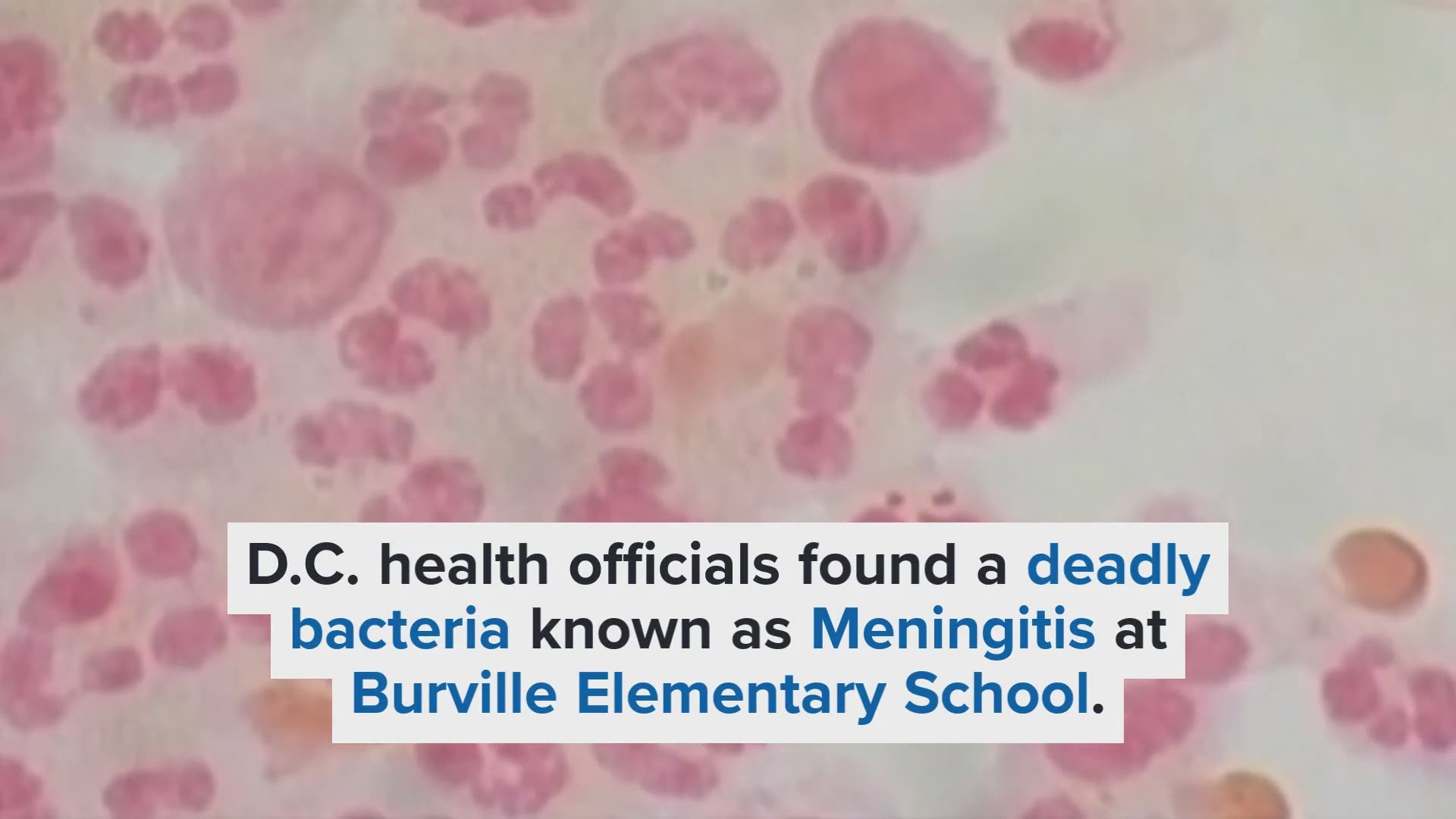 D.C. health officials sent a letter sent to parents Friday warning them of the discovery of Meningococcal, also known as the Meningitis at Burville Elementary School