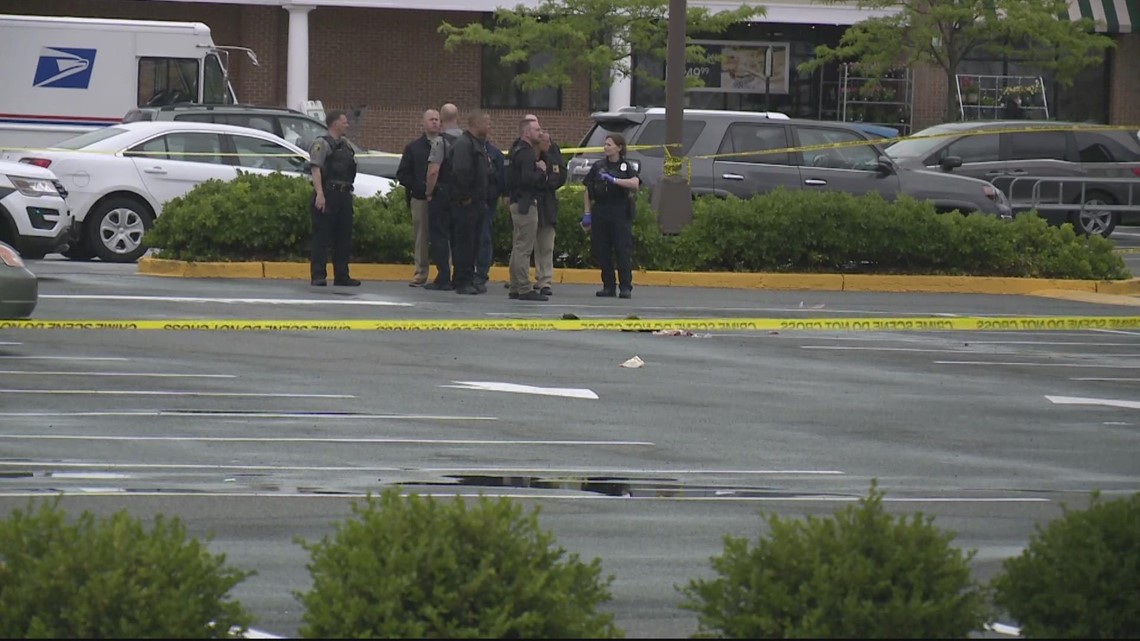 18-year-old student stabbed to death in Alexandria shopping center, police say