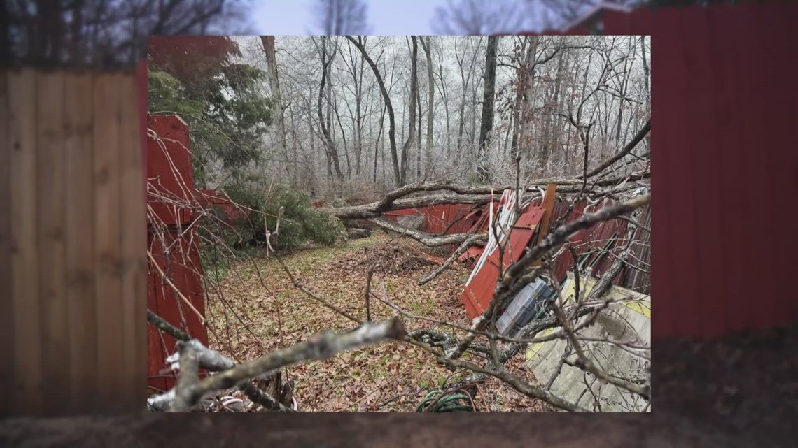 Tree from Fairfax County park falls on man’s home | wusa9.com