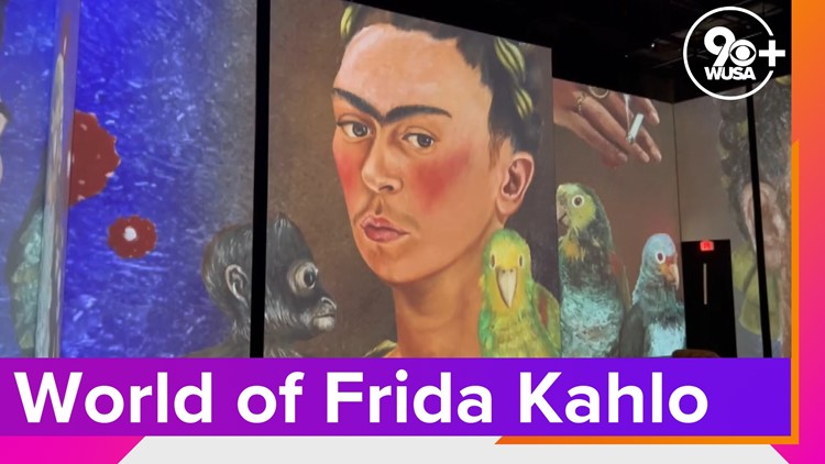 Immerse yourself in the world of Frida Kahlo and Diego Rivera in Washington, DC