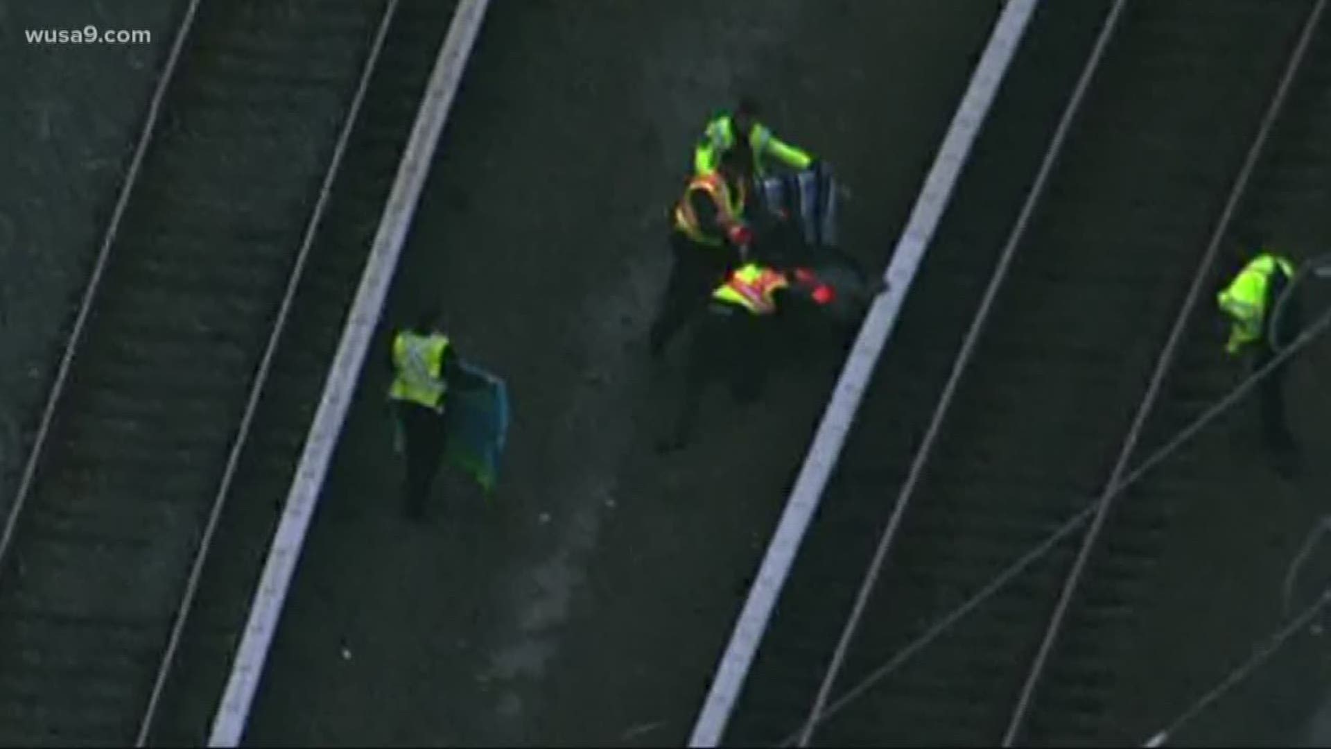 A wildlife rehab group is tending to an injured bald eagle found along Metro tracks.