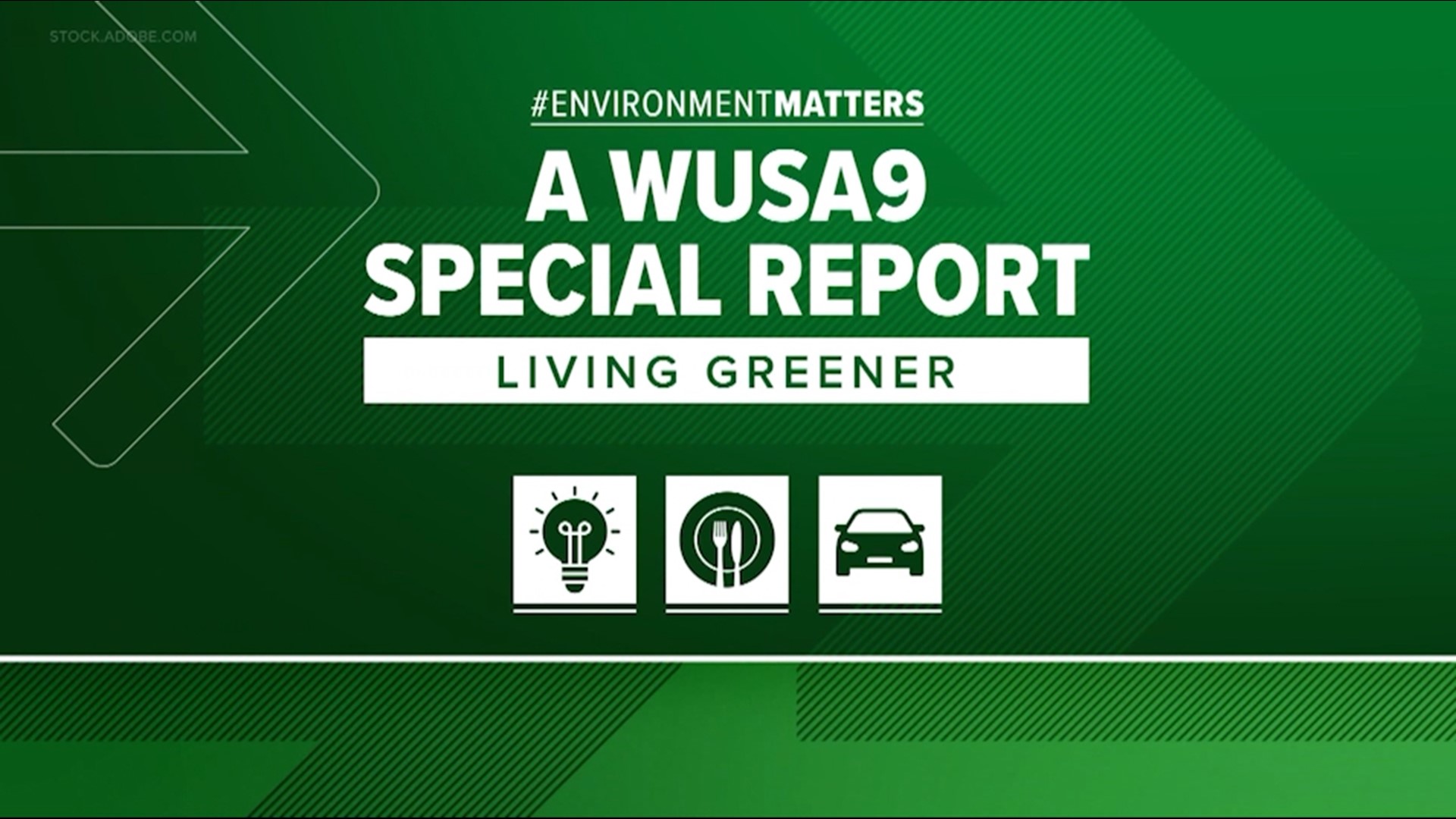 In this WUSA9 Special Report - Living Greener- Meteorologist Kaitlyn McGrath and others explore some great resources to help you live a greener life!