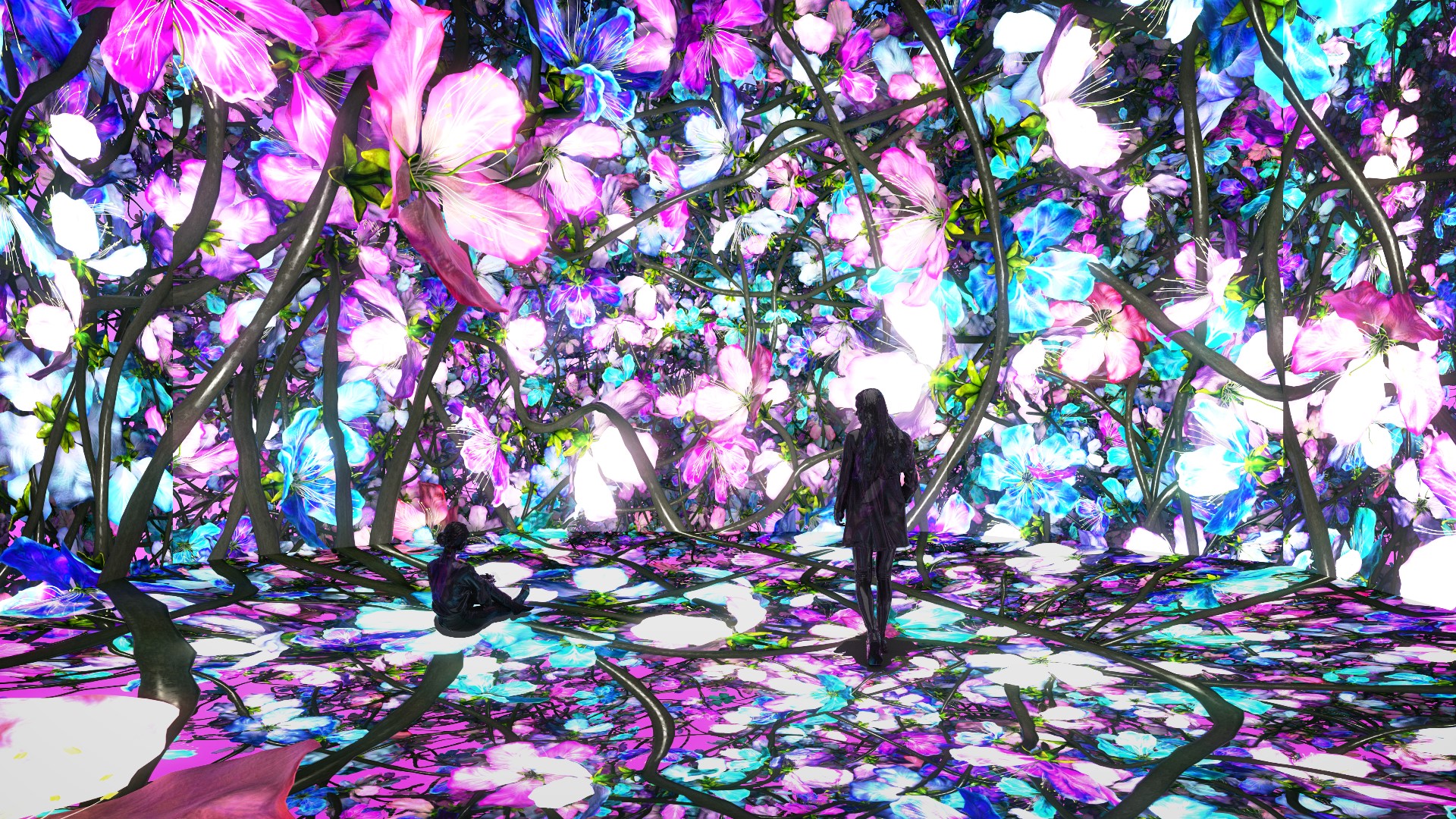 Artechouse DC offers immersive cherry blossom exhibit Pixelbloom