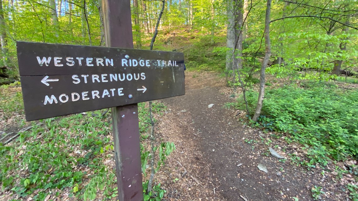 National Park Service closes Upper Beach Drive year-round - Vimarsana News