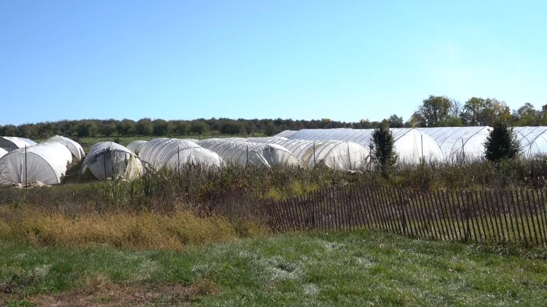Amazon 91094 Shenandoah Seasonal Farm is rooted in their mission | wusa9.com
