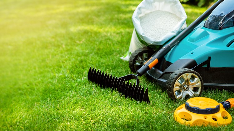 Keep your lawn healthy and lush with Virginia Green