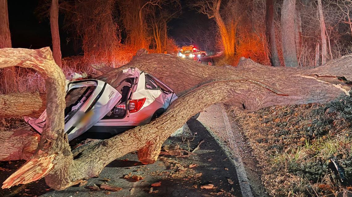 Woman pulled from vehicle crushed by fallen tree in Frederick County: fire officials