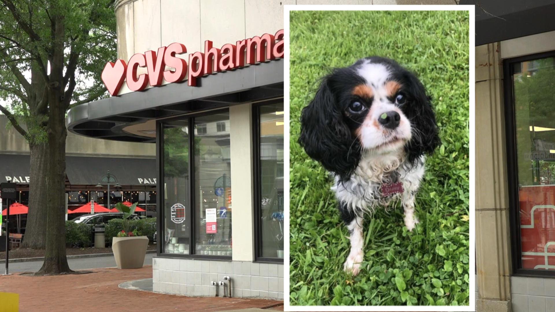 More than a month after a woman claimed her dog died because of a prescription error, she has retained a lawyer with plans to file a lawsuit against CVS Pharmacy.