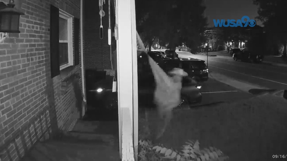 Pride flag stolen from Arlington home - Vimarsana News