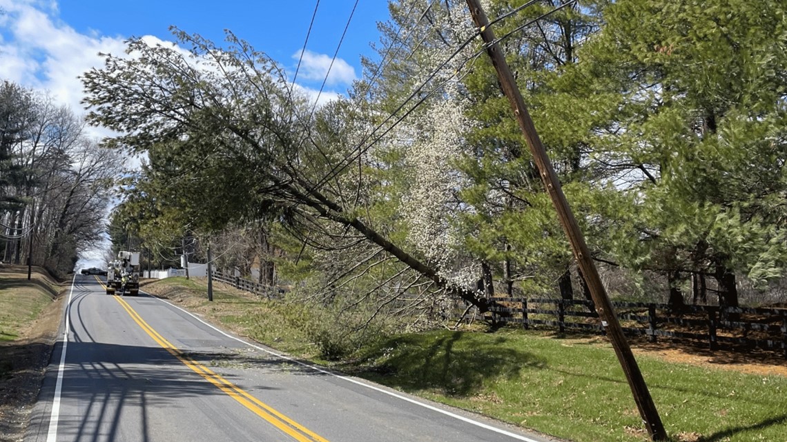 Fallen trees force road closures in Fairfax County