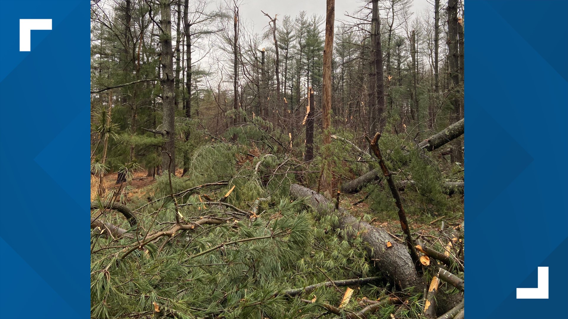 5 tornadoes touch down in Maryland | wusa9.com