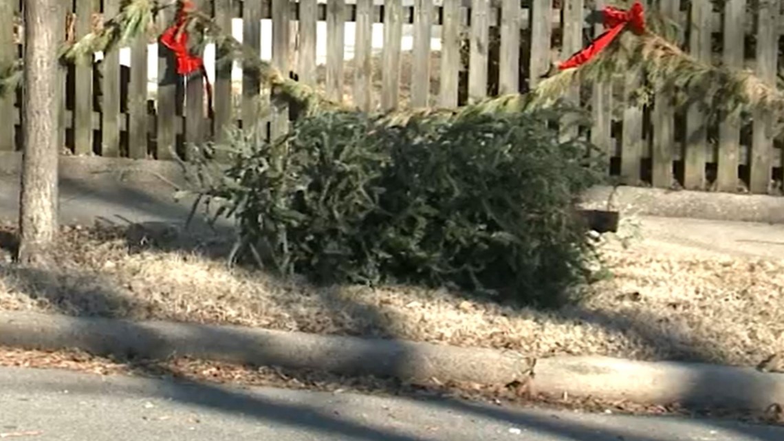 How to dispose of Christmas trees in the DMV