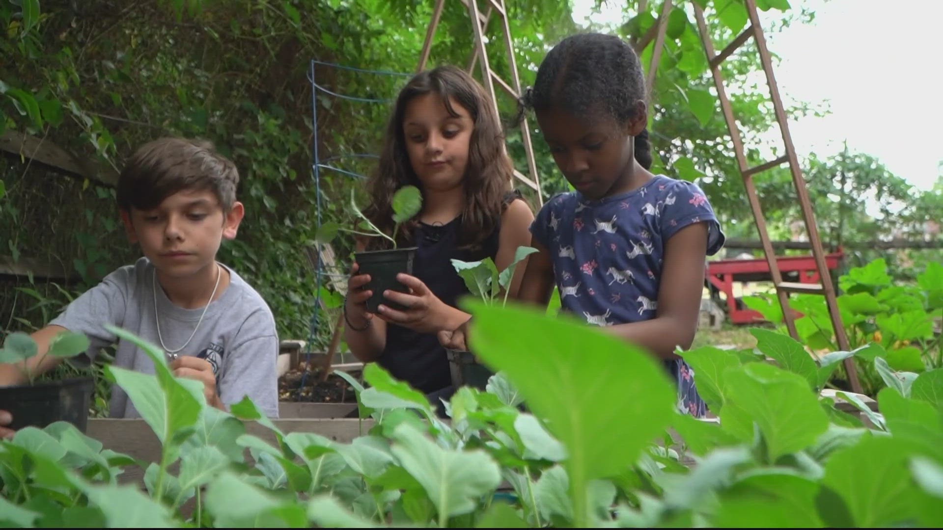 At one DC elementary school, students aren't just heading back to the classroom, they're heading back to the garden.