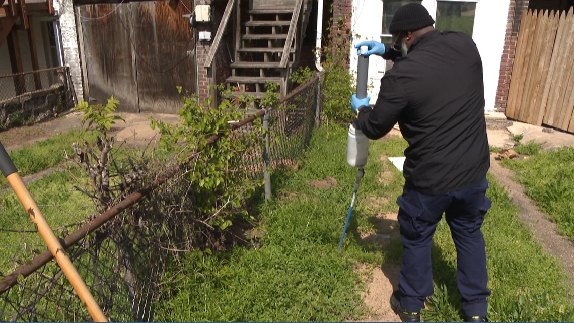 Birth control rat population reduction pilot program to start in the next few weeks, DC Health says
