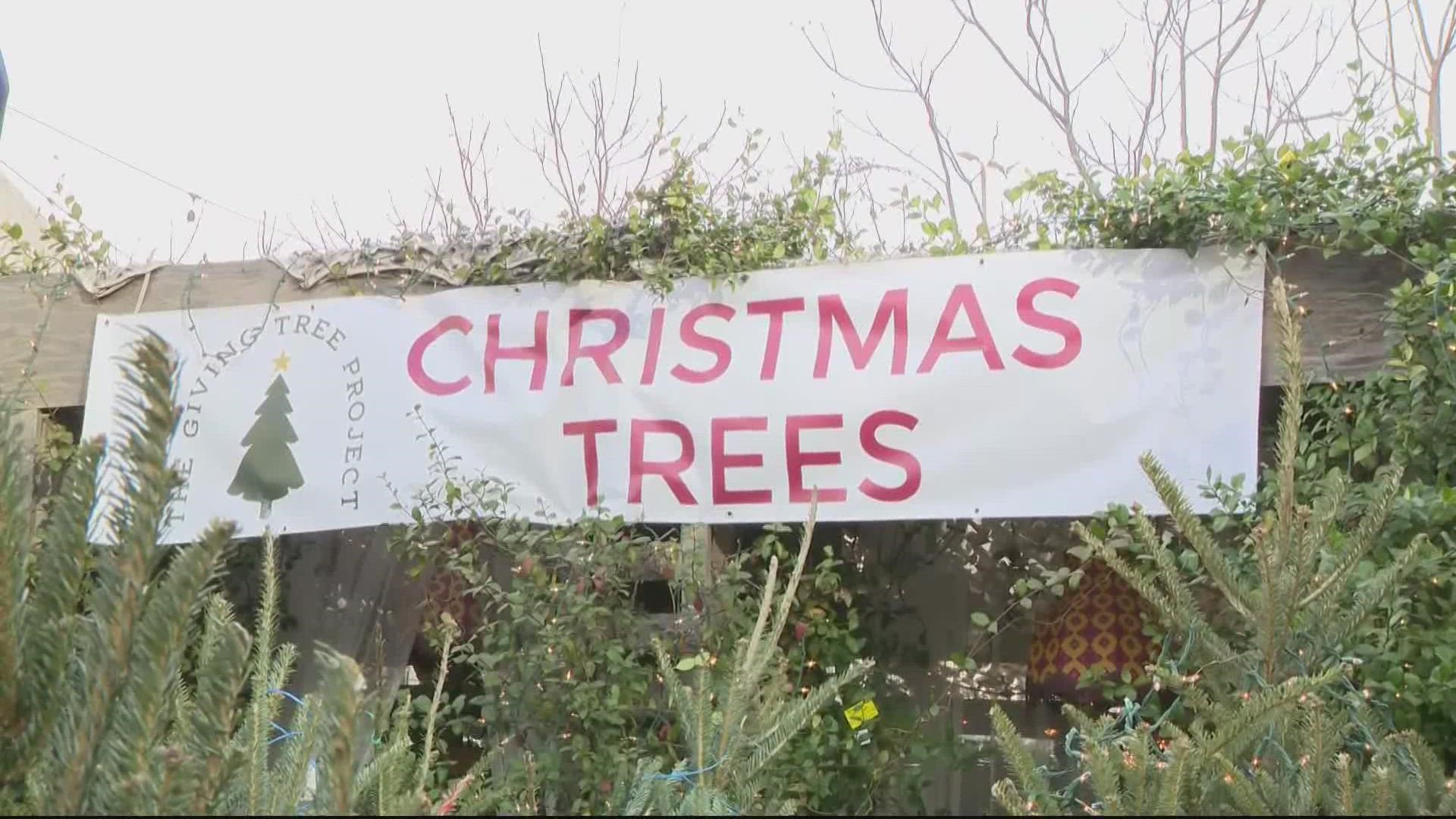 Ben Sherman of the Giving Tree Project talks to WUSA9 about the Christmas tree shortage. The charity aims to donate some proceeds to the H3 Project.