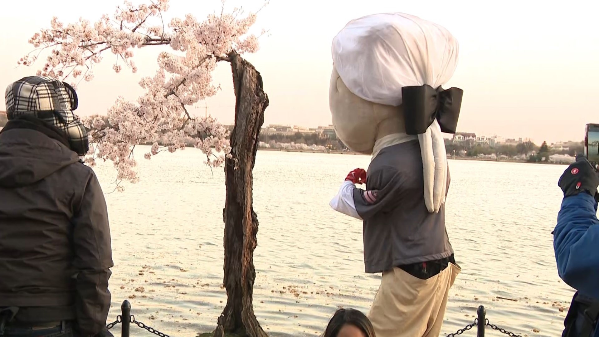 DC's best mascots showed their love for Stumpy at the Tidal Basin on Friday, March 22, 2024.