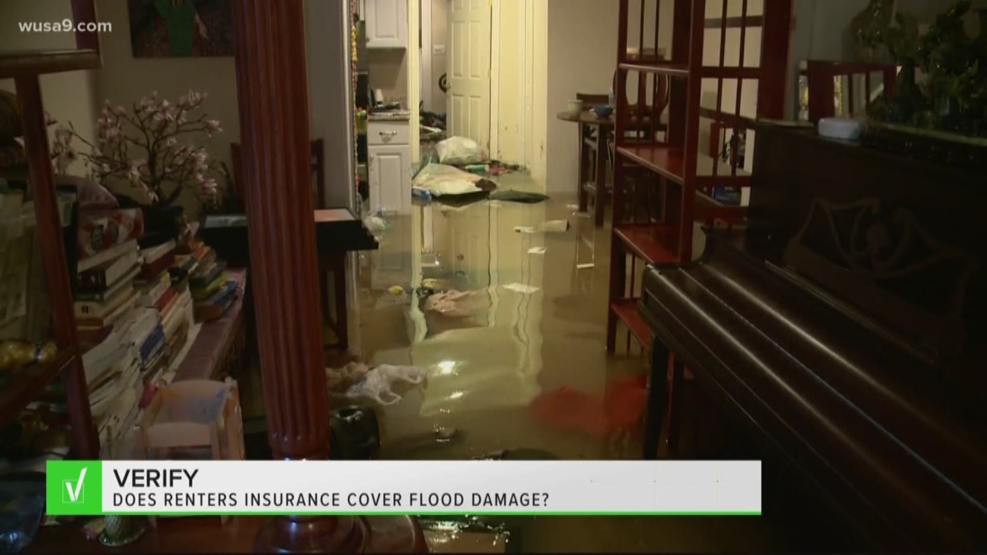 Most renters insurance policies do not cover damage from flood water.