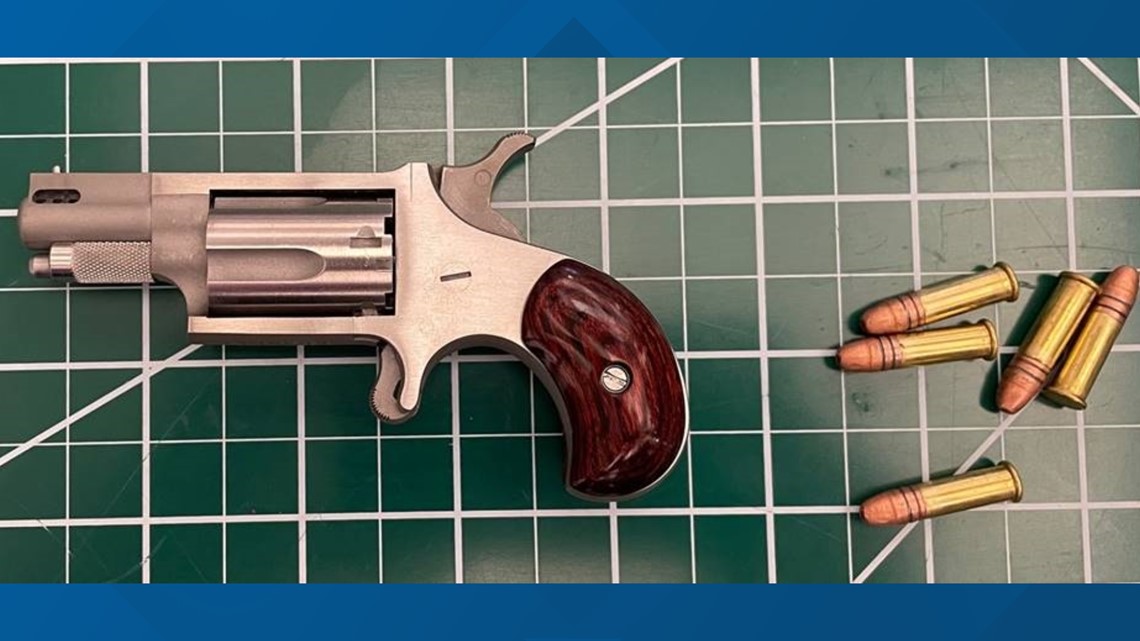 2 travelers stopped from boarding flights at DCA with loaded guns ...