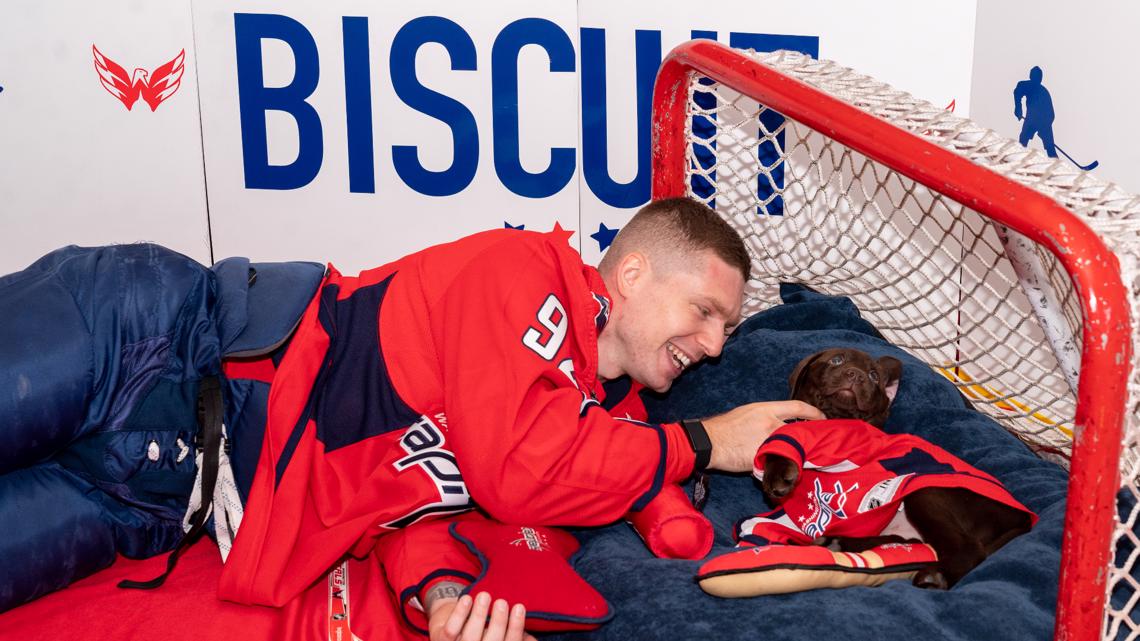 Trainer Deana Stone Readies Washington Capitals Team Dog Biscuit For Life  As a Veteran's Service Dog