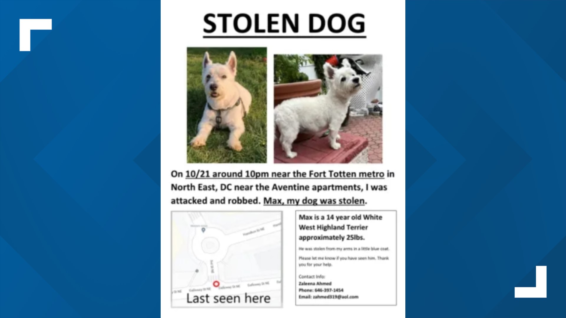 Dog stolen at gunpoint near Fort Totten Metro station