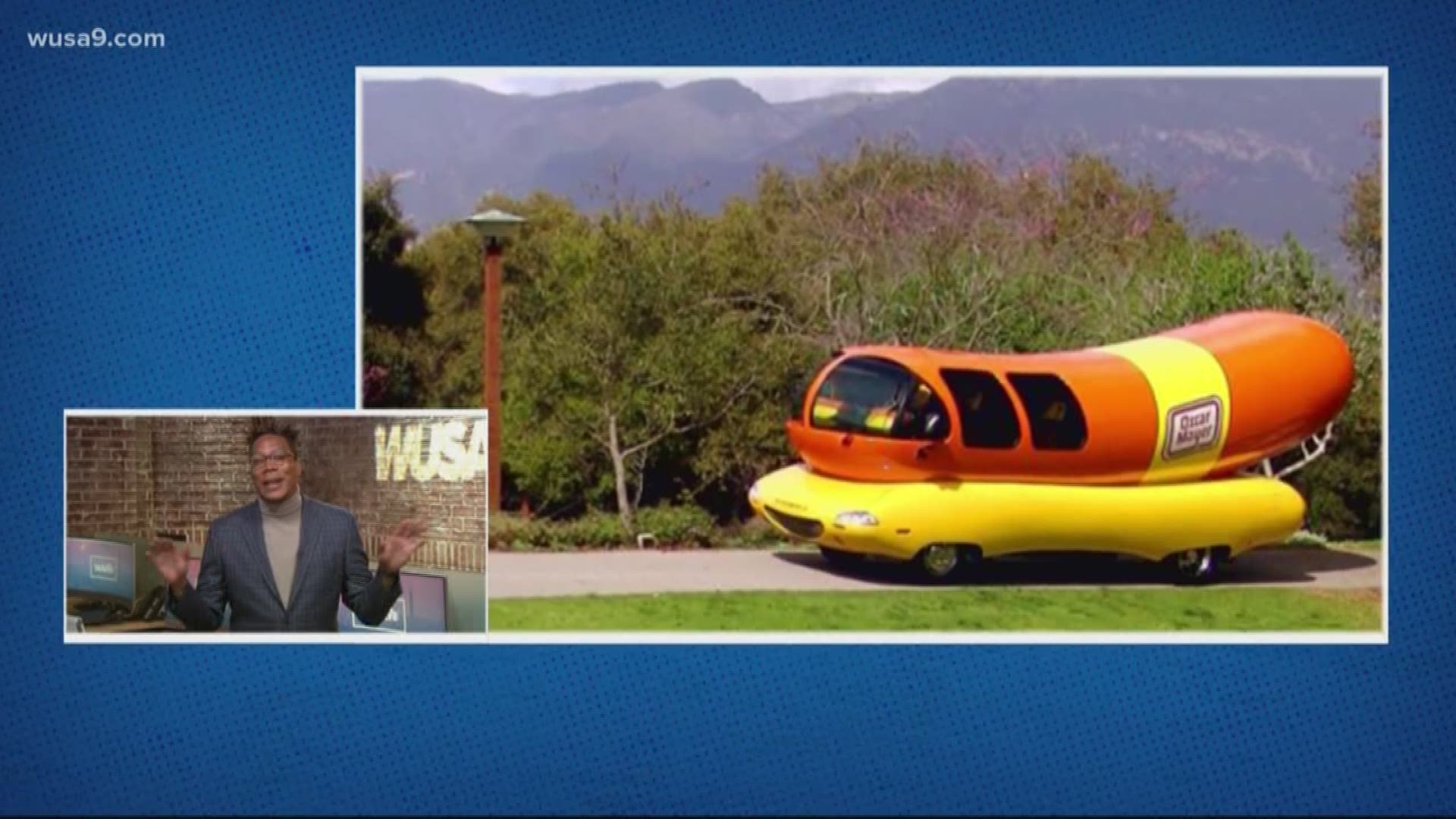 Wienermobiles, escaping from jail and Bloomberg shakes a ...