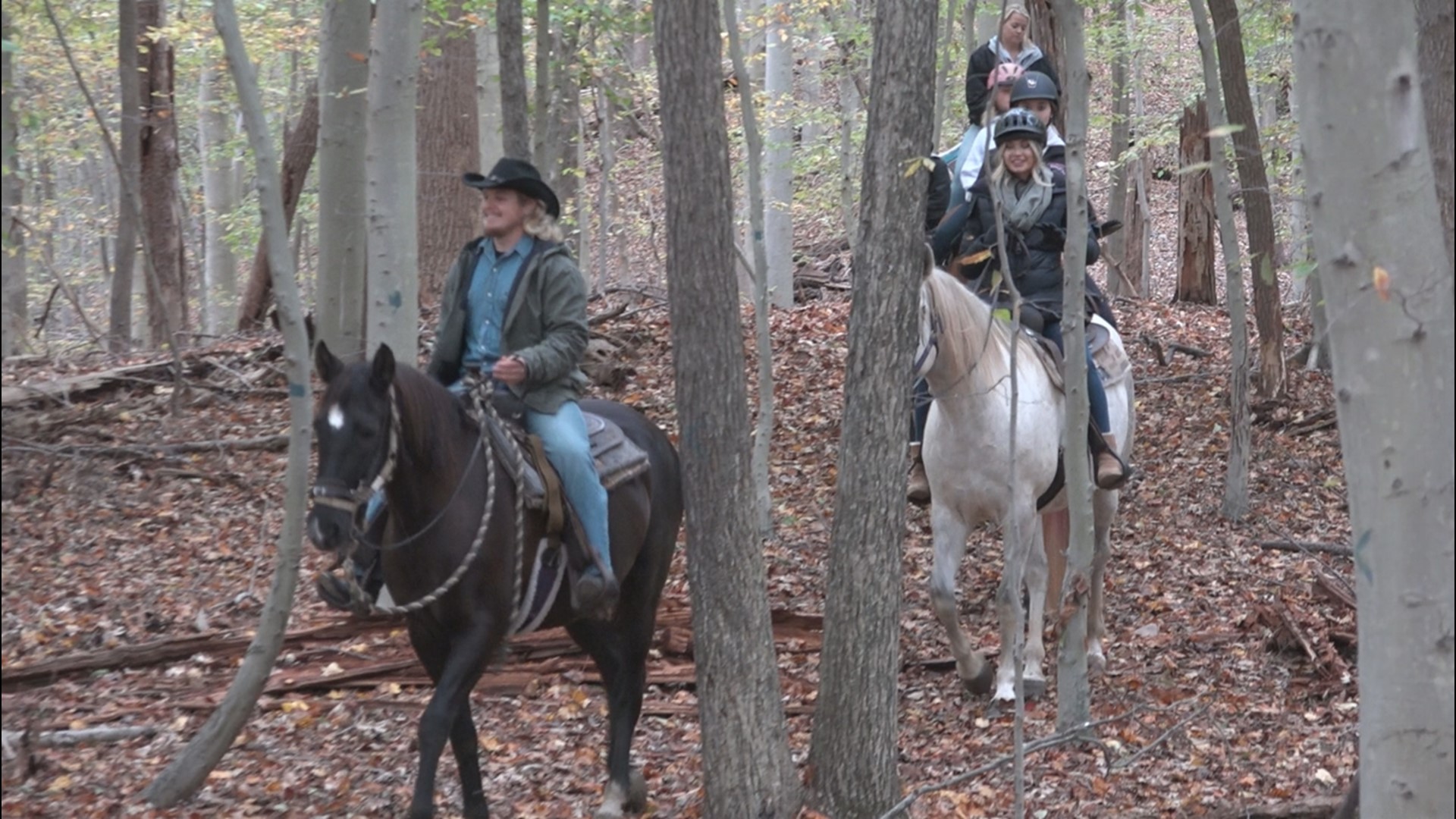 Tamarack Stables in Mason Neck, Virginia | wusa9.com